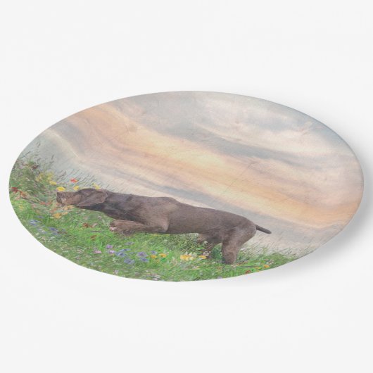 Deutsch Drahthaar Pappteller (Schrägansicht)