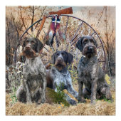 Deutsch Drahthaar Poster (Vorderseite)