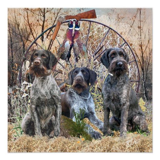 Deutsch Drahthaar Poster (Vorderseite)