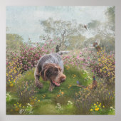 Deutsch Drahthaar Poster (Vorne)