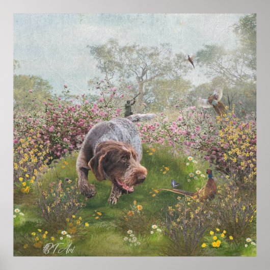 Deutsch Drahthaar Poster (Vorne)