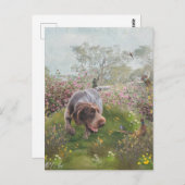 Deutsch Drahthaar Postkarte (Vorne/Hinten)