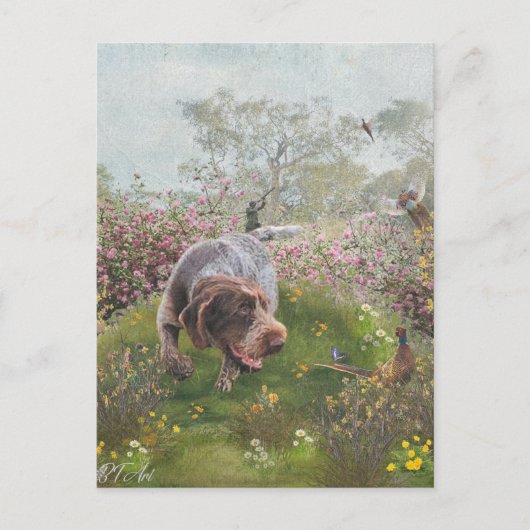 Deutsch Drahthaar Postkarte (Vorderseite)