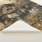Deutsch-Drahthaar Sherpadecke (3/4)