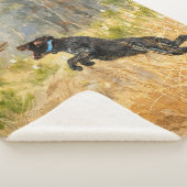 Deutsch Drahthaar Sherpadecke (3/4)