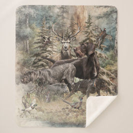 Deutsch Drahthaar Sherpadecke