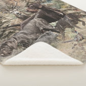 Deutsch Drahthaar Sherpadecke (3/4)