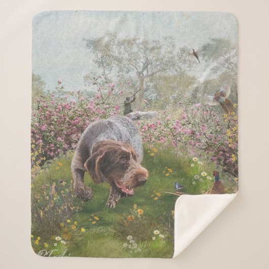 Deutsch Drahthaar Sherpadecke (Vorderseite)