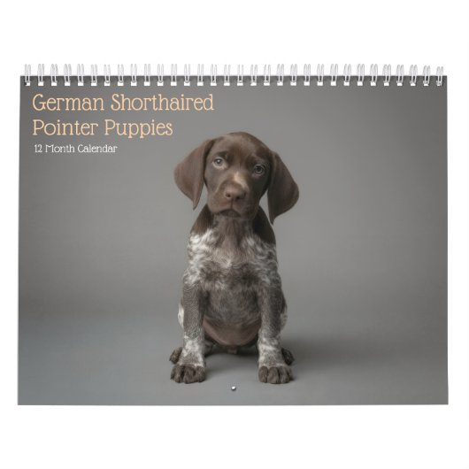 Deutsch Drahthaar Welpen 2027 Kalender (Titelbild)