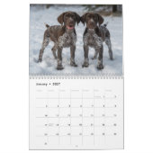 Deutsch Drahthaar Welpen 2027 Kalender (Jan 2027)