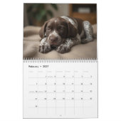 Deutsch Drahthaar Welpen 2027 Kalender (Feb 2027)