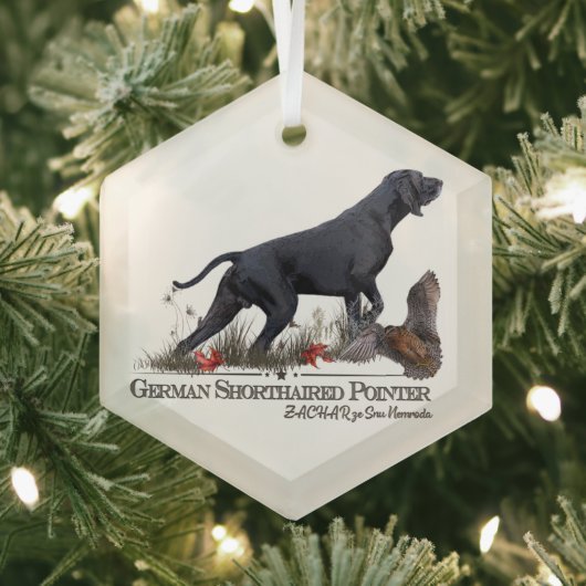 Deutsch Drahthaar, ZACHAR  Ornament Aus Glas (Insitu)