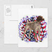 Deutsch Kurzfilmer Pointer Patriot Postkarte (Vorne/Hinten)