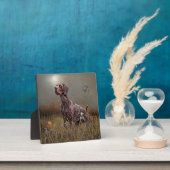 Deutsch Kurzhaar-Bänder, Kurzhaar Fotoplatte (InSitu)