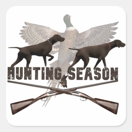 Deutsch Kurzhaar Pointer,kurzhaar Quadratischer Aufkleber (Vorderseite)