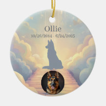 Deutsch Kurzhaar Regenbogenbrücke Anhänger