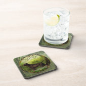 Deutsch Kurzhaar , SZANTA von Nemrod's Getränkeuntersetzer (Rechte Seite)