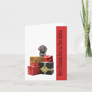 Deutsch Kurzhaarige frohe Weihnachtsansprache Feiertagskarte