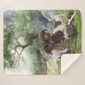 Deutsch Kurzhaarige niedliche Welpen Sherpadecke (Vorderseite (Horizontal))