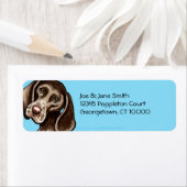 Deutsch Kurzhaarige Pointer Karibik (Insitu)