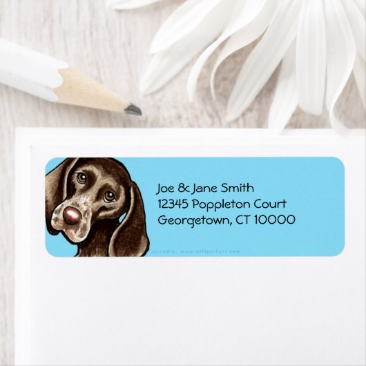 Deutsch Kurzhaarige Pointer Karibik (Insitu)