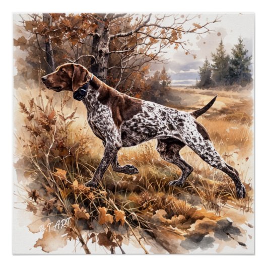 Deutsch Kurzhaariger Vorstehhund Poster (Vorderseite)