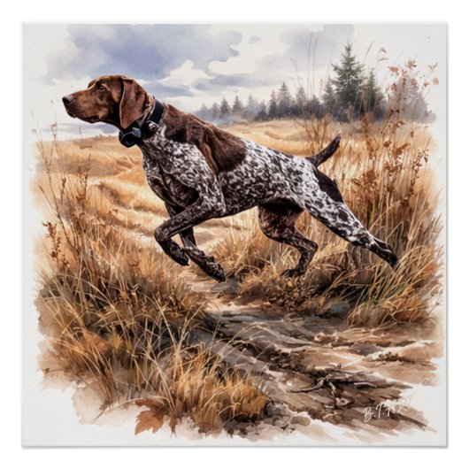 Deutsch Kurzhaariger Vorstehhund Poster (Vorderseite)