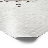 Deutsch Kurzporafreunde Fotodruck (Ecke)