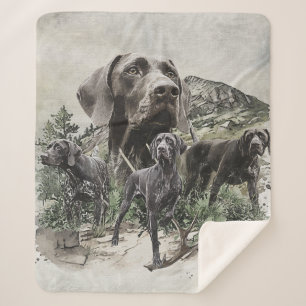 Deutsch Kurzporafreunde Sherpadecke