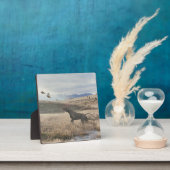 Deutsch Kurzpornografie Fotoplatte (InSitu)