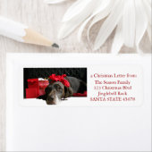 Deutsch Kurzportrait beim Kamin (Insitu)