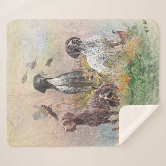 Deutsch Kurzzeiger (APS), ein Jagdphäe Sherpadecke (Vorderseite (Horizontal))