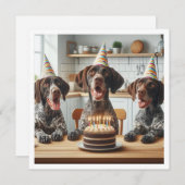 Deutsch Kurzzeitiger Zeiger, Hundegeburt Einladung (Vorne/Hinten)