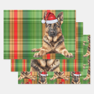 Deutsch Langhaar Weihnachts Hund Rot Kariert Geschenkpapier Set
