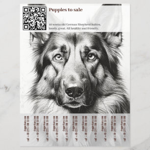 Deutsch Schäferhund Flyer