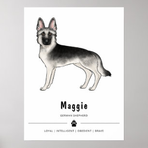 Deutsch-Schwarzwälder Schäferhund und benutzerdefi Poster