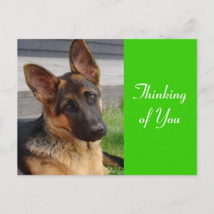 Deutsch Shepherd Welpen-Hund-Postkarte "Ich denke Postkarte