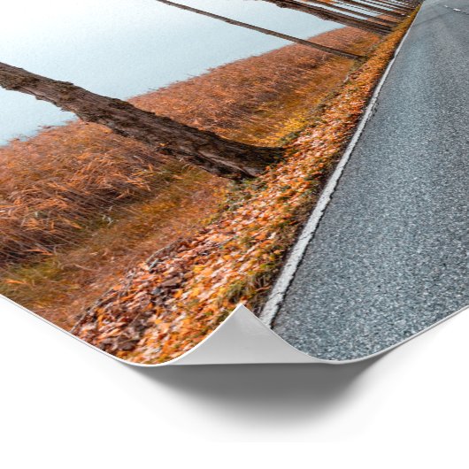 Deutsche Alleenstraße Poster (Ecke)