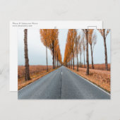 Deutsche Alleenstraße Postkarte (Vorne/Hinten)