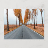 Deutsche Alleenstraße Postkarte (Vorderseite)