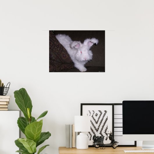 DEUTSCHE ANGORA RABBIT POSTER (Heimbüro)
