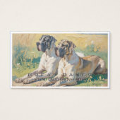 Deutsche Dogge (Vorderseite)