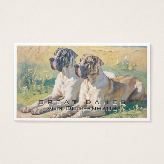 Deutsche Dogge (Vorderseite)