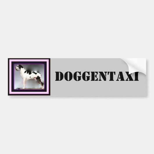 Deutsche Dogge, Great Dane,Harlekin,Taxi,Aufkleber Autoaufkleber (Vorne)