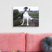 Deutsche Dogge, Great Dane,Hunde,Dogue Allemand Leinwanddruck (Insitu (Wohnzimmer))