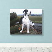 Deutsche Dogge, Great Dane,Hunde,Dogue Allemand Leinwanddruck (Insitu (Holzboden))