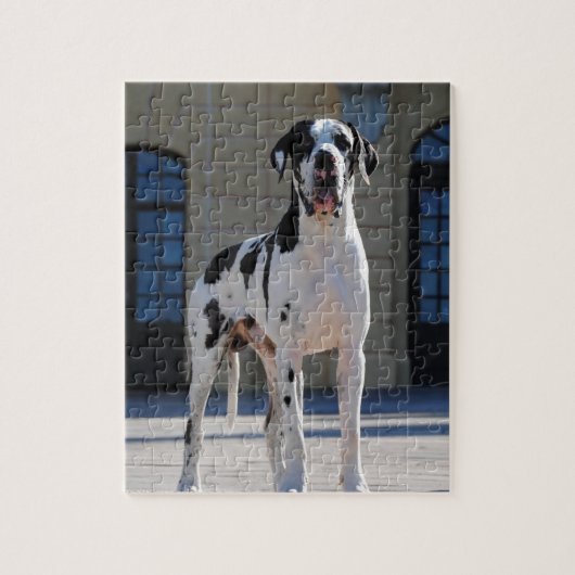 Deutsche Dogge, Great Dane,Hunde,Dogue Allemand Puzzle (Vertikal)