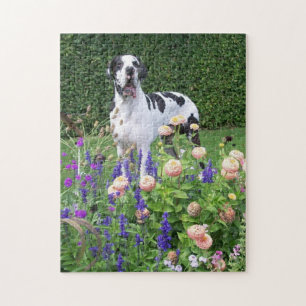 Deutsche Dogge, Great Dane,Hunde,Dogue Allemand Puzzle