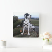 Deutsche Dogge, Great Dane,Hunde,Dogue Allemand Quadratische Wanduhr (Zuhause)
