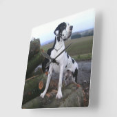Deutsche Dogge, Great Dane,Hunde,Dogue Allemand Quadratische Wanduhr (Winkel)